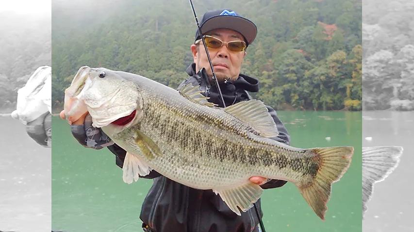 バスギャラリー 8トラップの神髄を紐解く 釣りビジョン