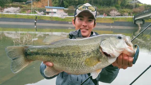 Follow My F 13 愛媛の人気リザーバー 野村ダムを歩く 釣りビジョン