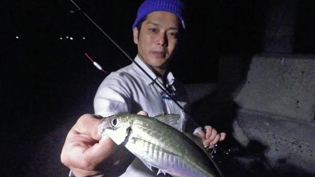 Azing Lab 2nd 18 香川県小豆島 夏アジングを克服するならリグチェンジ 釣りビジョン