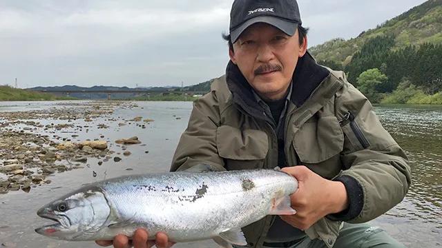 トラウトギャラリー 秋田県米代川のサクラマス 釣りビジョン