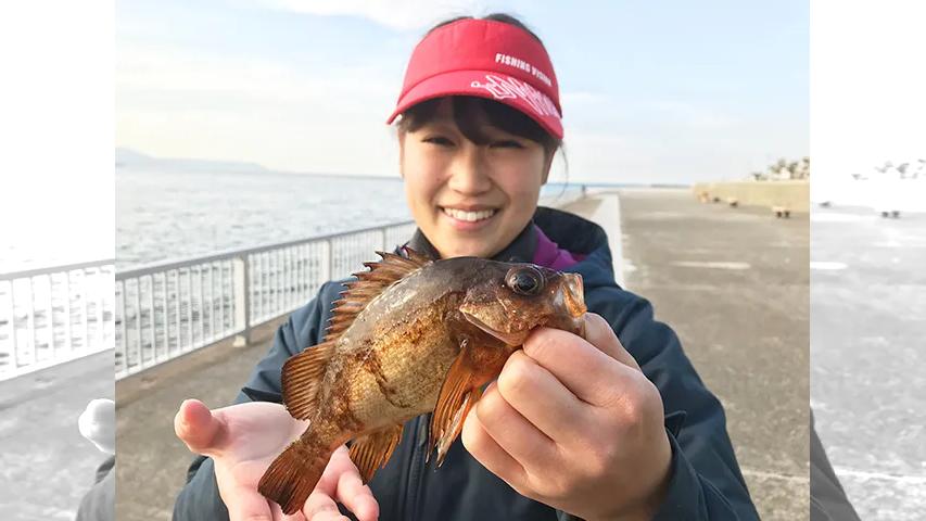 関西発 海釣り派 その180 シーズン間近 明石市でエビ撒きメバル釣り 釣りビジョン