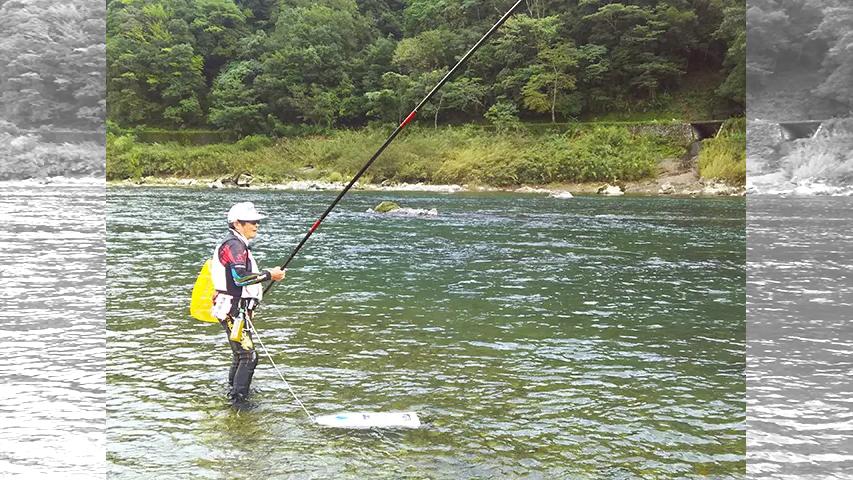 伝心伝承 177 高知県 四万十川 大鮎乱舞 釣りビジョン