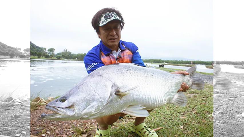 魚種格闘技戦 Battle 190 オーストラリアの巨大銀鱗魚 極輝 バラマンディ 釣りビジョン