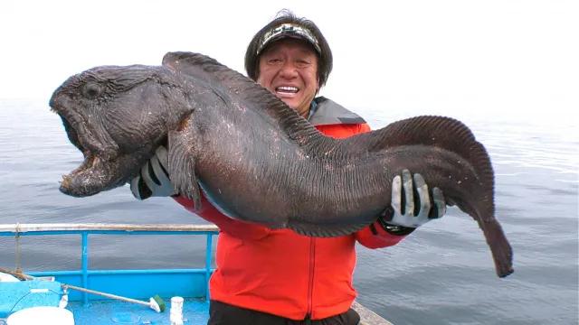 魚種格闘技戦 Battle 222 オホーツク海の怪魚 オオカミウオとのリベンジマッチ 釣りビジョン