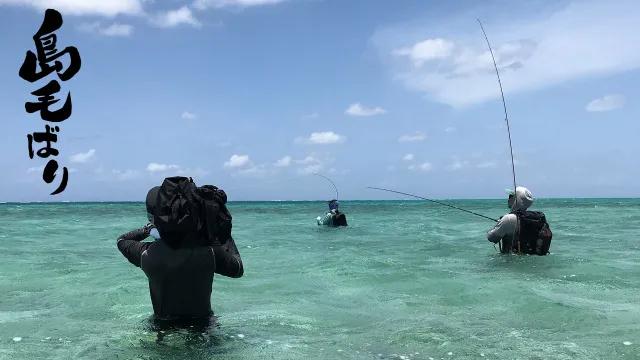 フライギャラリー 僕たちのフライフィッシング 島毛ばり 釣りビジョン