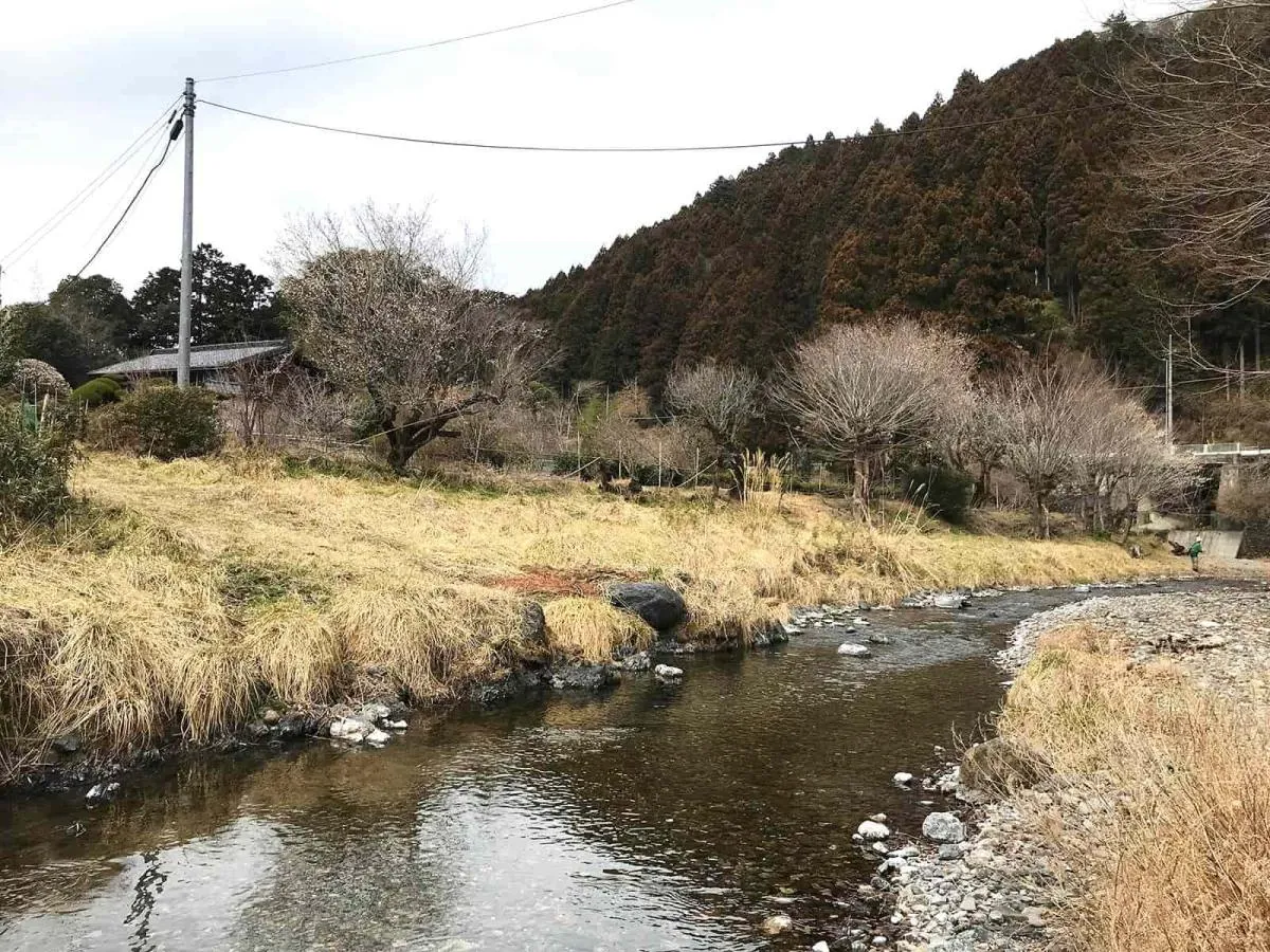 ▽超希少 つり人 渓流フィールド 秩父 ヤマメ イワナ 釣り場 テンカラ