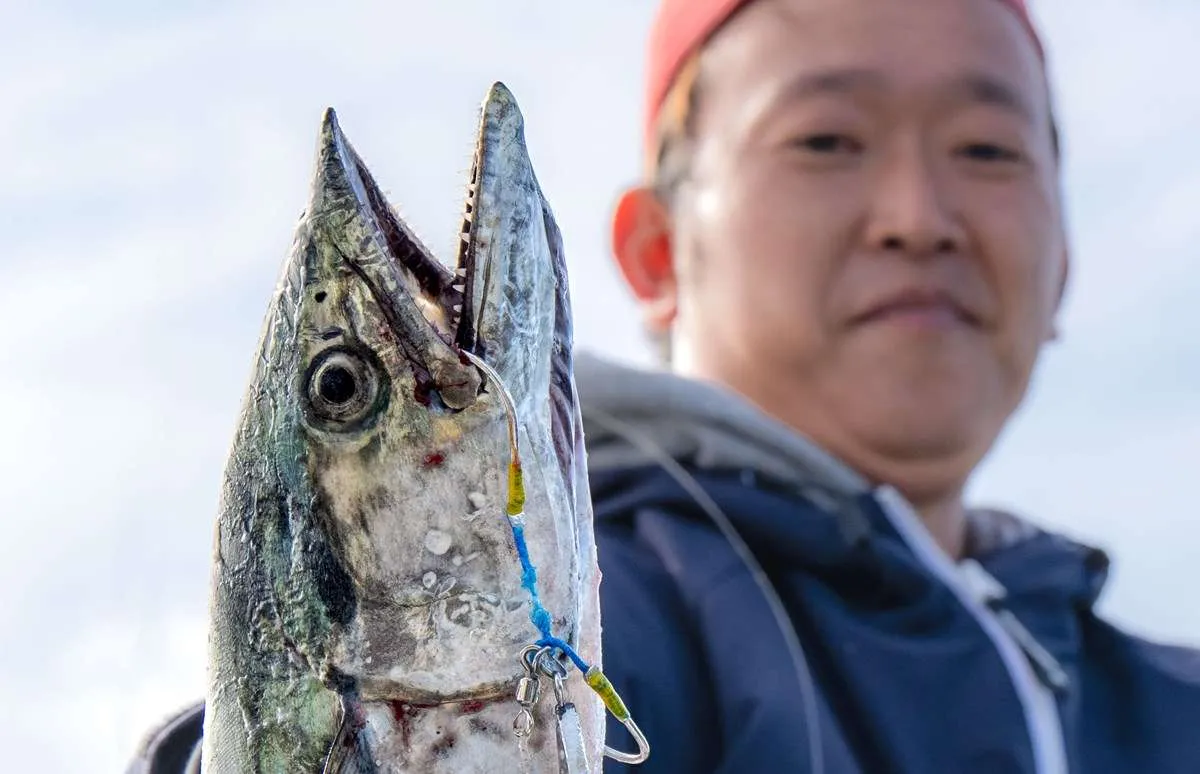 秋本番！明石海峡の青物ジギング！ 兵庫県明石港『釣り船 魚英