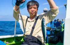 相模湾のビシ・アジ釣り、絶好調！大型アジに根魚も楽しめる