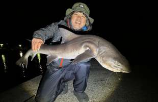 年の瀬にイワシ狙い・・・のはずが、2024年自己最重量&最長魚をキャッチ！ 【千葉県外房】