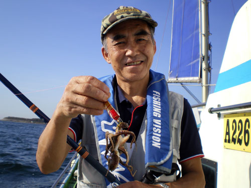 衝撃映像 千葉県富津沖のイイダコ 絶好のスタート 釣りビジョン マガジン 釣りビジョン