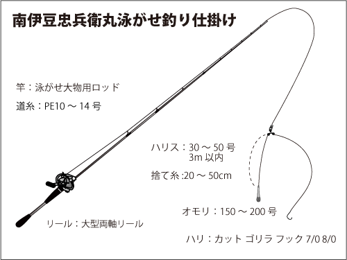 夢とロマンの大物狙い 銭洲遠征で泳がせ釣り 釣りビジョン マガジン 釣りビジョン