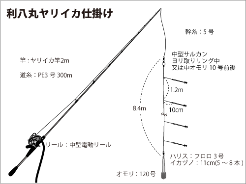 千葉 洲崎沖が熱い ヤリイカ爆釣 束釣り連発 オフショアマガジン 釣りビジョン