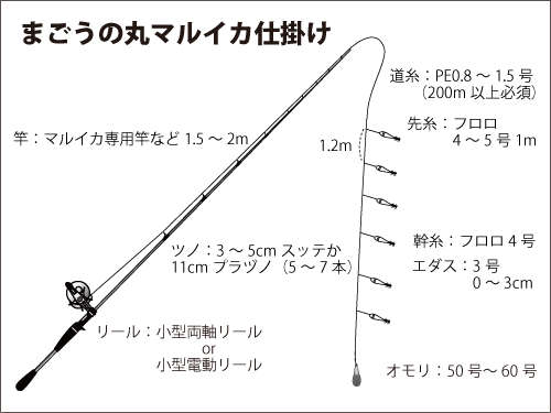 神奈川県 茅ヶ崎沖のマルイカ 出足快調 釣りビジョン マガジン 釣りビジョン