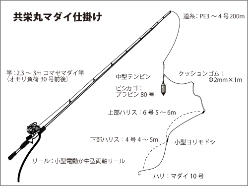 千葉県 内房 乗っ込み マダイ 早くもシーズンイン オフショアマガジン 釣りビジョン