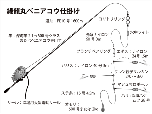 2022最新のスタイル 紅アコウ仕掛け。 釣り仕掛け・仕掛け用品 