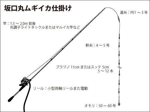 相模湾 小田原沖 初夏の風物詩 ムギイカ をつかまえて 釣りビジョン マガジン 釣りビジョン