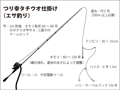 東京湾 タチウオ前線 成長中 梅雨前線 を吹き飛ばせ 釣りビジョン マガジン 釣りビジョン