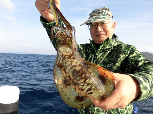 千葉県 洲崎沖のアオリイカ ドーンッと大型好調 オフショアマガジン 釣りビジョン