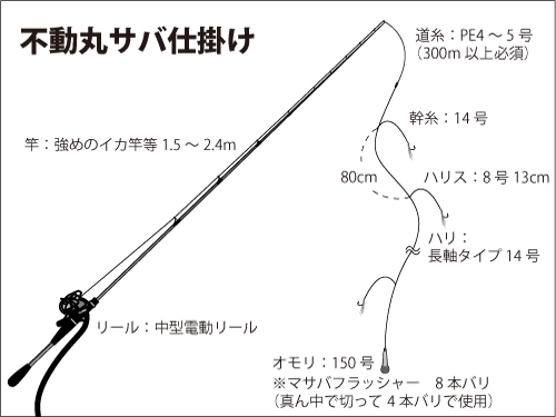 千葉県 勝浦沖の 寒サバ ヤリイカ船 超旨いサバが入れ食い 釣りビジョン マガジン 釣りビジョン