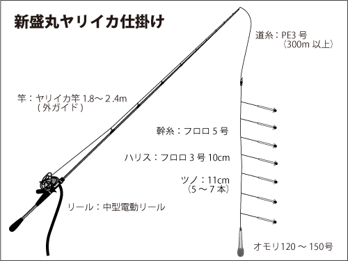 千葉県 勝山発 ファン待望の好釣果に沸く春のヤリイカを満喫 釣りビジョン マガジン 釣りビジョン