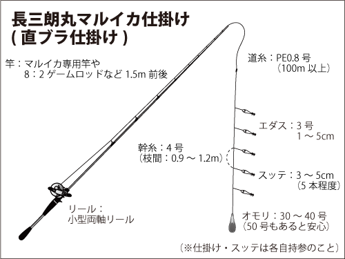 神奈川県 葉山沖のマルイカ 浅場で絶好釣 竿頭80杯 釣りビジョン マガジン 釣りビジョン