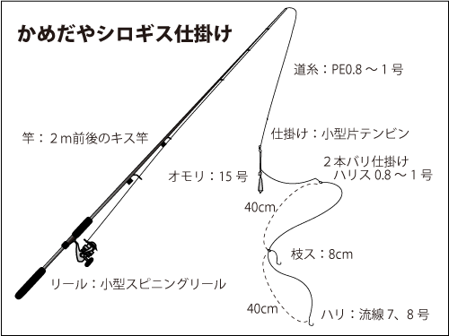 東京湾 中ノ瀬のシロギス 型良し 数良し絶好調 釣りビジョン マガジン 釣りビジョン