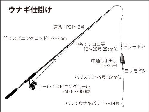 東京 荒川のウナギ釣りと エレクトリカルパレード 釣りビジョン マガジン 釣りビジョン