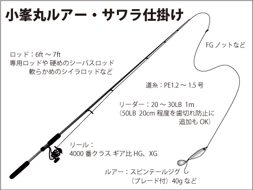 東京湾の ルアー サワラ 絶好調 今シーズンもアツいぞ 釣りビジョン マガジン 釣りビジョン