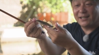 魅惑の釣り