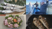 オトコの釣りメシ