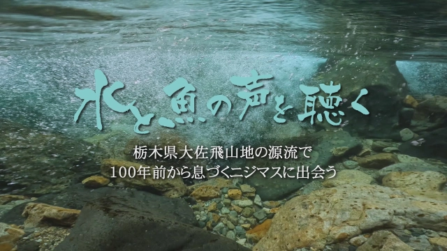 水と魚の声を聴く 2 栃木県大佐飛山地の源流で100年前から息づくニジマスに出会う