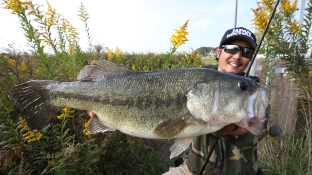 Make?!  Make10 秋・ベイトフィッシュ・霞ヶ浦水系の法則