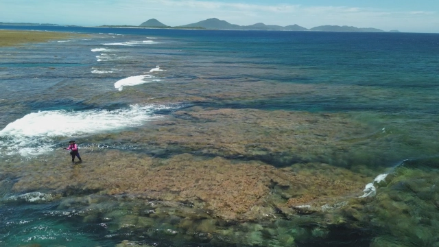 海釣り幕営 6 釣れなさ過ぎて傷心旅行！？沖縄県伊是名島のGT・カスミアジ