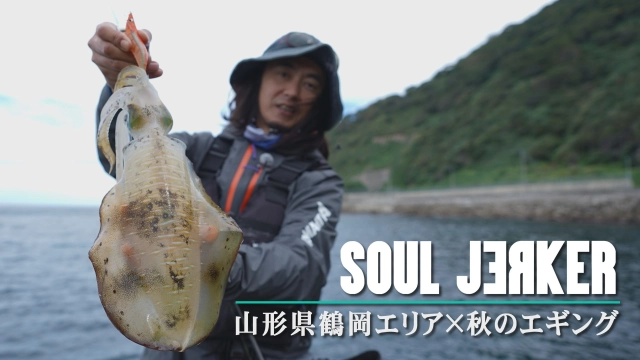 SOUL JERKER 24 山形県鶴岡エリア×秋のエギング