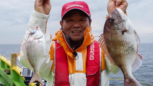 沖釣りギャラリー 永井裕策 久里浜沖の乗っ込みマダイ