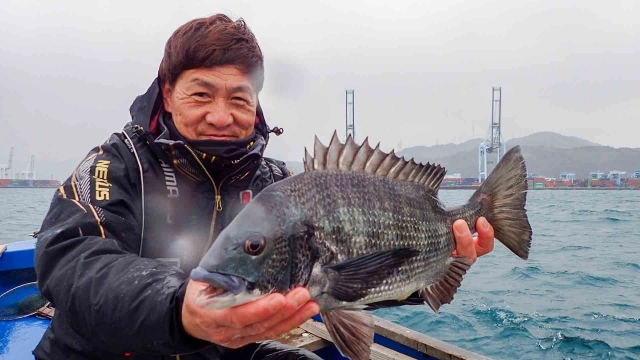 チヌ道一直線 其の八十八 最強寒波到来！いざ、清水港のかかり釣りを極める！