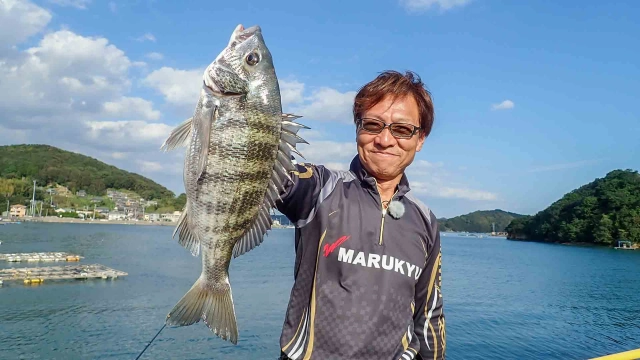 チヌ道一直線 其の九十二 初秋のウキダンゴ釣り！いざ、迫間浦のメガフロートに挑む！