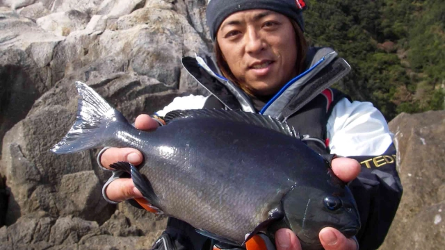 磯を駆ける 第三十四章 三重県二木島エリア