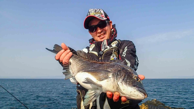 楽釣楽磯宣言 34 兵庫県沼島エリア 初の沼島でチヌ・グレ楽釣宣言！？