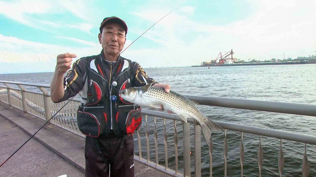 Oh！エド釣り日記 川崎で噂の海釣り公園