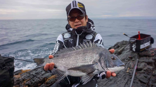 楽釣楽磯宣言 44「兵庫県沼島エリア 寒グレ・寒チヌ楽釣宣言！？」