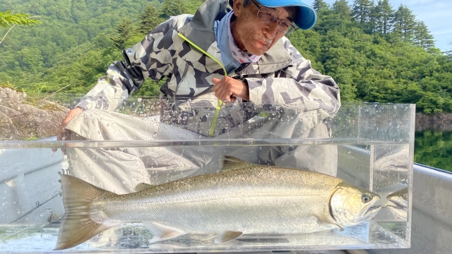 アナタに釣っていただきます！