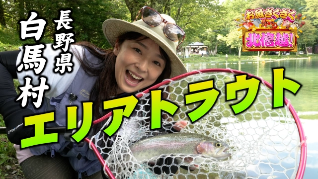 お魚ざくざく北信越！ 15 長野県白馬村でエリアトラウト！