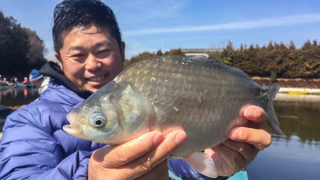 ヘラブナギャラリー 三和新池 初春の管理釣り場攻略