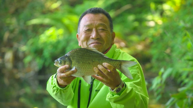 ヘラブナギャラリー 深宙 神秘の湖 青森十二湖・王池