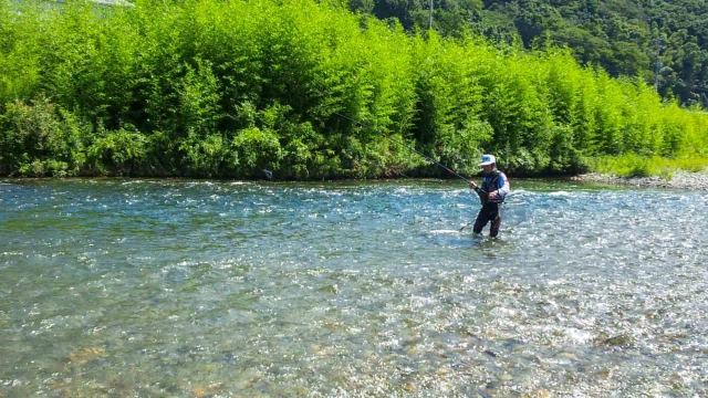 伝心伝承 103　島根県匹見川～自然に溢れる夏の香り～