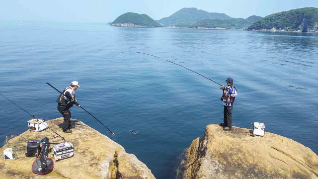 伝心伝承 172 香川県蔦島 ～チヌの楽園、銀鱗躍動～