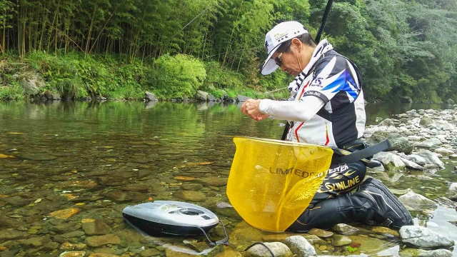 伝心伝承 176 高知県 新荘川 ～閑雅な鮎と戯れて～