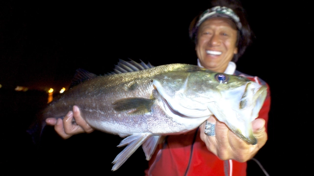 魚種格闘技戦！