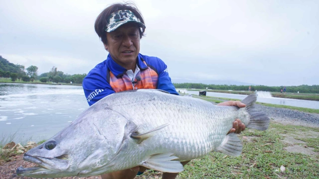 魚種格闘技戦！ BATTLE-190 オーストラリアの巨大銀鱗魚・極輝！バラマンディ